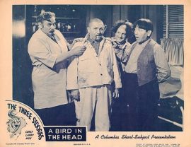 Funny movie quotes from A Bird in the Head, starring the Three Stooges - Moe Howard, Larry Fine, Curly Howard