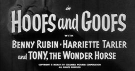 Funny movie quotes from Hoofs and Goofs (1957) starring the Three Stooges - Moe Howard, Larry Fine, Joe Besser