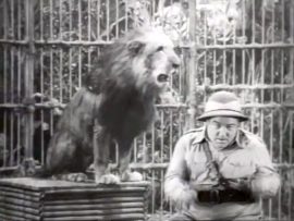 Lou Costello goes lion hunting in Africa