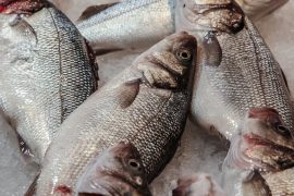 Eating fish makes you smarter