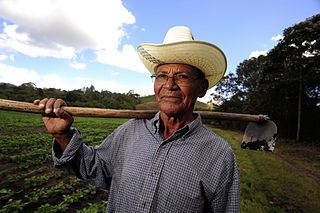 Farmer's last will and testament