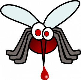Mosquito knock-knock jokes - From the lips of my children come this series of knock-knock jokes with a mosquito theme