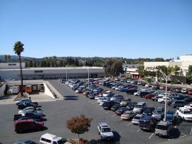 Parking Lot Rules For Last Minute Christmas Shoppers