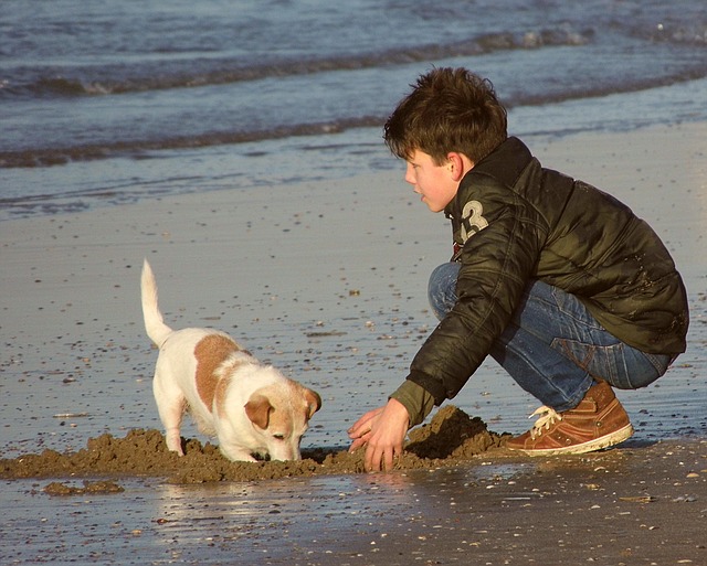 The pastor, the boys, the dog and the lying contest